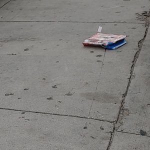 Meet your Posher, Zoe